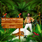 One Night In the Jungle (Radio Edit) - Colin Cover Art