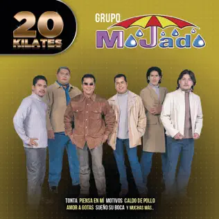 baixar álbum Download Grupo Mojado - 20 Kilates album