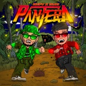 Pantera artwork