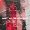 What You're Missing EP