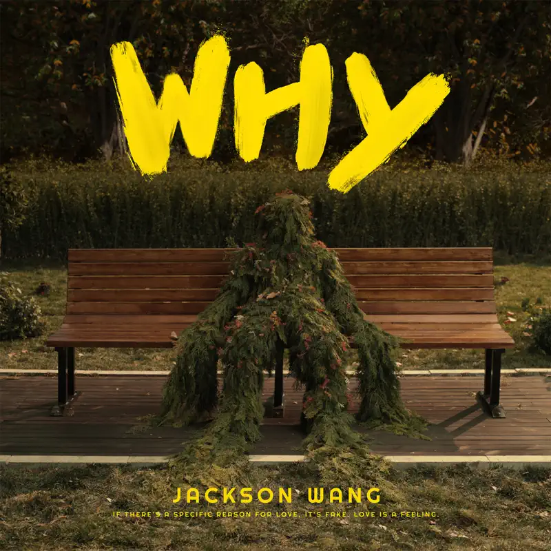 王嘉尔 - Why Why Why - Single (2022) [iTunes Plus AAC M4A]-新房子