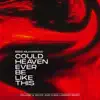 Could Heaven Ever Be Like This (Walker & Royce and Chris Lorenzo Remix) - Single album lyrics, reviews, download