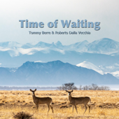 Time of Waiting - Tommy Berre & Roberto Dalla Vecchia