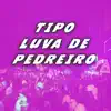 Tipo Luva de Pedreiro (feat. MC Larisson) - Single album lyrics, reviews, download