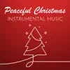 Winter Wonderland (Instrumental Version) song lyrics