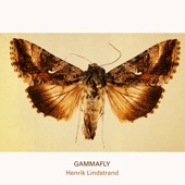 Gammafly artwork