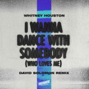 I Wanna Dance with Somebody (Who Loves Me) [David Solomon Remix] - Single