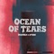 Ocean Of Tears - Imanbek & DVBBS lyrics