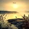 River - Marantiguo & Mokoe lyrics