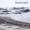 Seascape, 2022