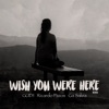 Wish You Were Here (Remix) - Single