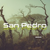San Pedro artwork