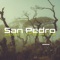 San Pedro artwork