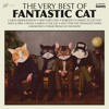 The Very Best of Fantastic Cat (feat. Anthony D'Amato, Don DiLego, Brian Dunne & Mike Montali) - Fantastic Cat