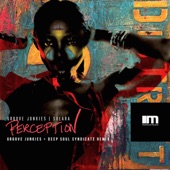 Perception (feat. Solara) [Groove Junkies & Deep Soul Syndicate Radio Mix] artwork