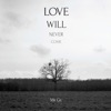 Love Will Never Come