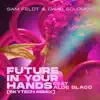 Stream & download Future In Your Hands (feat. Aloe Blacc) [Skytech Remix] - Single