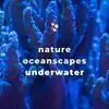 Nature Oceanscapes: Underwater album lyrics, reviews, download