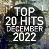 Top 20 Hits December 2022 (Instrumental), 2022