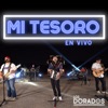 Mi Tesoro (En Vivo) - Single