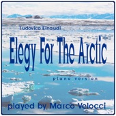 Elegy For The Arctic artwork