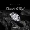 Diamond in the Rough - Single album lyrics, reviews, download