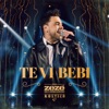 Te Vi Bebi (Ao Vivo) - Single