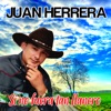 Si No Fuera Tan Llanero - Single