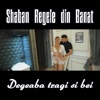 Degeaba tragi si bei - Single