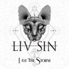 I Am the Storm - Single