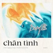 Chân Tình (Remix) artwork
