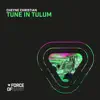 Stream & download Tune in Tulum - Single