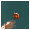 Floating - Single