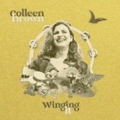 Colleen Brown - As The Crow Flies