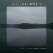 Catchacoma Lake artwork