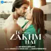 Stream & download Tu Zakhm Hai (Music from the Original Series) - Single