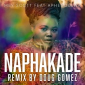 Naphakade (feat. Aphendulwa) [Doug Gomez Tambores Mix] artwork