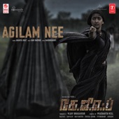 Agilam Nee (From "KGF Chapter 2") artwork