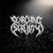 Disarray - Searching Serenity lyrics