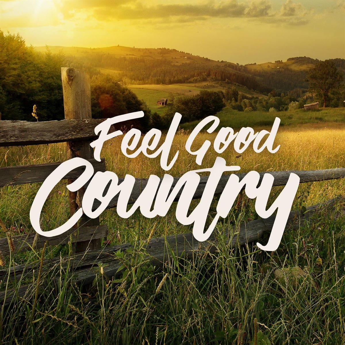 feel-good-country-by-various-artists-on-apple-music