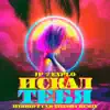 Искал Тебя (Hybrid Funk Theory Remix) - Single album lyrics, reviews, download