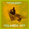 Stream & download Volando Voy - Single