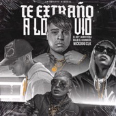 Te Extraño a Lo Vio (feat. Jairo Vera & EL REY) artwork