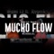 Mucho Flow (feat. Hypeck) - Semi 13 lyrics