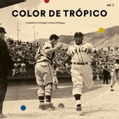 Color de Trópico Vol 2 (Compiled By El Dragón Criollo y El Palmas) artwork