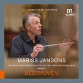 Beethoven: Symphony No. 5 in C Minor, Op. 67 (Rehearsal Excerpts) artwork