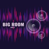 Big Room Vibes artwork