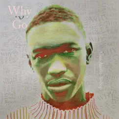 Why Go? by Allen Austin-Bishop album reviews, ratings, credits