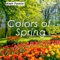 Colors of Spring - Aleh Famin lyrics