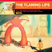 Go (Alternate Version from The Flaming Lips Archives) artwork